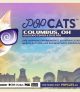 POP Cats Columbus