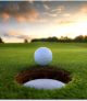2025 Annual LVGA Golf Outing
